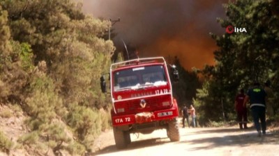  Çanakkale'de orman yangını