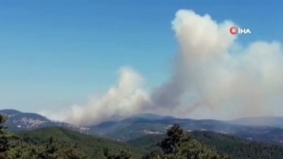  Çanakkale'de orman yangını