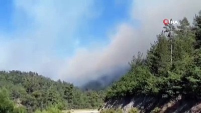  Çanakkale'de orman yangını
