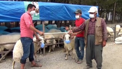 la paz - Hayvan pazarlarında hareketlilik - GAZİANTEP Videosu