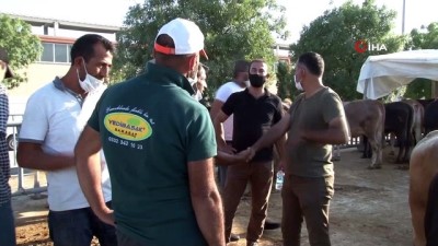 kurbanlik hayvan -  Konya’da kurban pazarında pandemi sakinliği Videosu