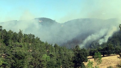 Orman yangını kontrol altına alınmaya çalışılıyor (3) - ÇANAKKALE