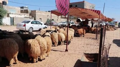 alim gucu - Trablus'ta Hafter saldırılarıyla kötüleşen ekonomi, kurban satışlarına da yansıdı Videosu