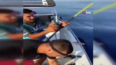  Amatör balıkçıların oltasına takılan köpek balığı ağzındaki kanca çıkartılarak serbest bırakıldı