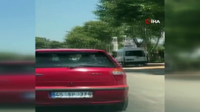 kamera -  Antalya’da firari danalar araç trafiğine karıştı Videosu