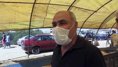 Başkentte bayramın ilk günü kurban satış ve kesim yerlerinde yoğunluk yaşandı - ANKARA