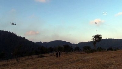 is makinesi - Çanakkale'deki orman yangınına havadan müdahale yeniden başladı Videosu