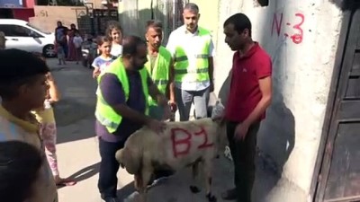  Görme engelli yetime kurban sürprizi
