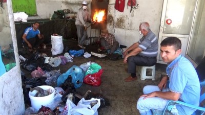  Kurban kelleleri 25 TL'den ütülüyor