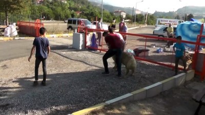 Kurban satış ve kesim yerlerinde yoğunluk - KARABÜK