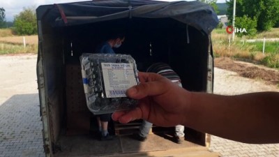 soguk hava deposu -  Dünyanın yaban mersini Bursa'da üretiliyor Videosu