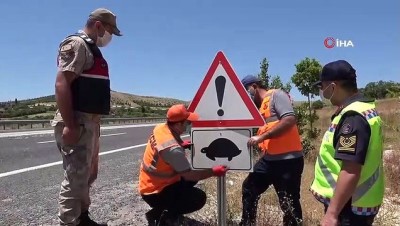 karayollari -  Mehmetçik, kaplumbağalar için görevde Videosu