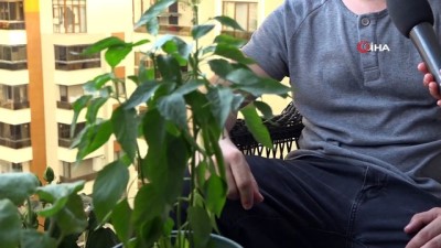 ekolojik -  Nilüfer’de dağıtılan fideler ürünlerini verdi Videosu