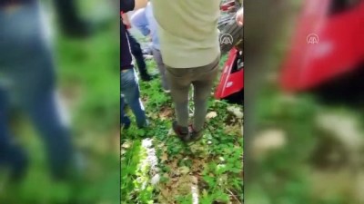 Traktör devrildi: 1 ölü, 1 yaralı - MANİSA