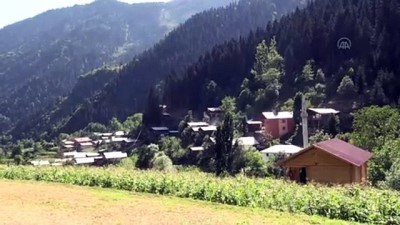 isaf - Artvin'de 3 asırlık bayram geleneği yaşatılıyor Videosu