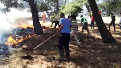   Gaziantep’te orman yangını