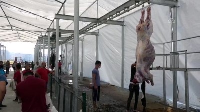 Kurban Bayramı'nın ikinci gününde kurban kesimleri devam ediyor - İSTANBUL