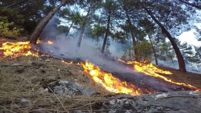 Piknikçilerin yoğun olduğu bölgede orman yangını (2) - KAHRAMANMARAŞ