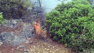 Suriyeli Hasan el-Hasan, İzmir'deki yangını söndürmek için avuçlarıyla toprak taşıdı - İZMİR