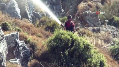 gesi -  Turizm cenneti alevlere teslim oldu Videosu