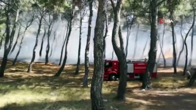 ormanli -  - Soma’da orman yangını Videosu