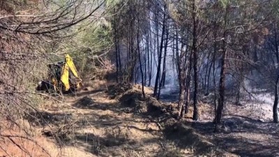 ormanli - Orman yangını (2) - SAKARYA Videosu