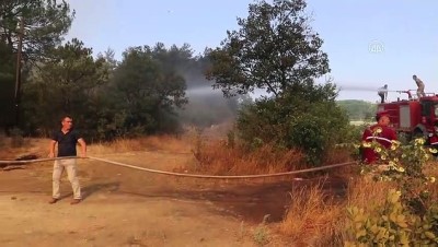 ormanli - Orman yangını (3) - SAKARYA Videosu