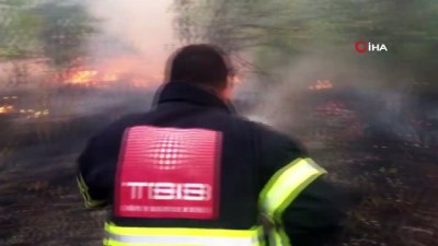 Amasya’da yangın: 5 dönüm alan zarar gördü