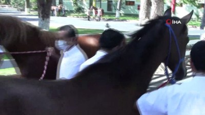 acik artirma -  Atın intikamı...Bakıcısını böyle tepti Videosu