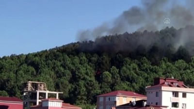 Aydos Ormanı'nda yangın (2) - İSTANBUL