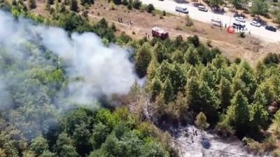  Düzce’de orman yangını: 4 hektar alan kül oldu