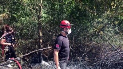 kent ormani - Orman yangını çıktı - DÜZCE Videosu