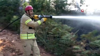 yangin helikopteri -  Sultanbeyli Aydos Ormanları'nda yangın çıktı Videosu