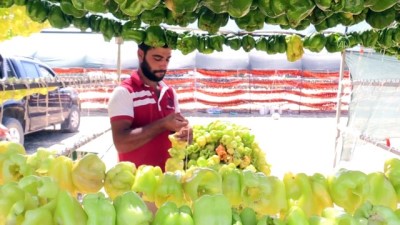 insaat sektoru - Yılda kuruttuğu 600 ton sebzeyle 30 aileye ekmek kapısı oluyor - BATMAN Videosu