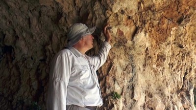 koordinat - 2 bin 500 rakımlı dağdaki mağarada bulunan kaya resimleri araştırılıyor - BİTLİS Videosu
