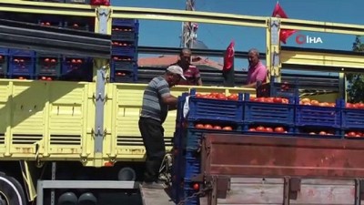 bogaz koprusu -  Bayramiç’te domates hasadı şenliği düzenlendi Videosu