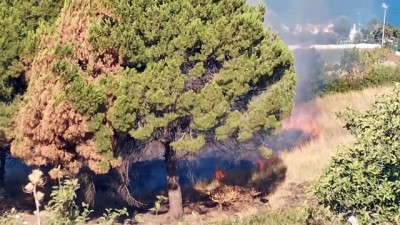 opel - Beylikdüzü'nde otluk alanda çıkan yangın söndürüldü - İSTANBUL Videosu