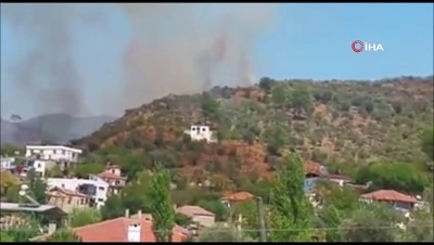zeytinli -  Milas'ta zeytinlik arazideki yangın söndürüldü Videosu