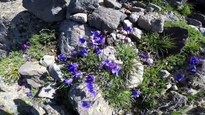 fi yapi - 'Türkiye'nin çatısı' kutup ve çöl iklimini birlikte yaşıyor - AĞRI Videosu