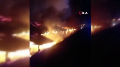 buyukbas hayvan -  Alev alev yanan ahırda 15 buzağı telef oldu Videosu