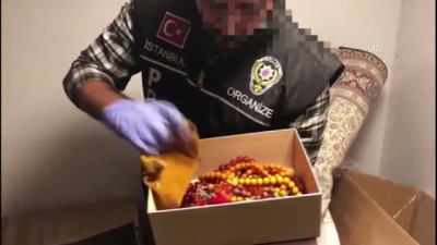 piton yilani - İstanbul merkezli 3 ilde organize suç örgütüne yönelik operasyon - İSTANBUL Videosu