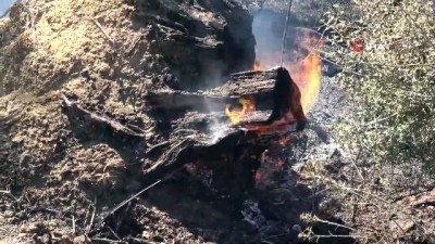 yangin yeri -  Kurşunlu köyündeki yangın kontrol altında Videosu
