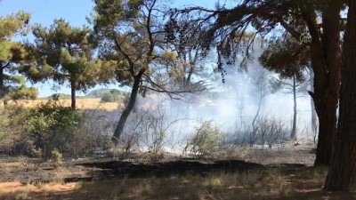 akkale - Orman yangını - ÇANAKKALE Videosu