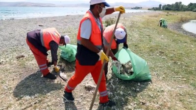 ekolojik - Van Gölü'nde martı ölümleri Videosu