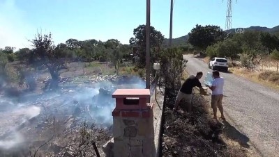 zeytinli - Zeytinlik yangını - ÇANAKKALE Videosu