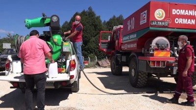 sonbahar - Kızıl kuyruklu kayın tırtılına karşı başlatılan biyolojik mücadele sürüyor - KÜTAHYA Videosu