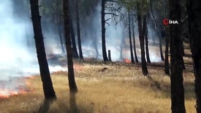  Piknik ateşi 1 hektar alanda yangın çıkardı