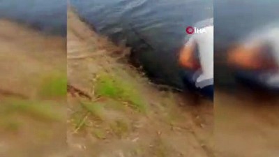 amator balikci -  Meriç Nehri’nde yakalandı, tam 50 kilo Videosu