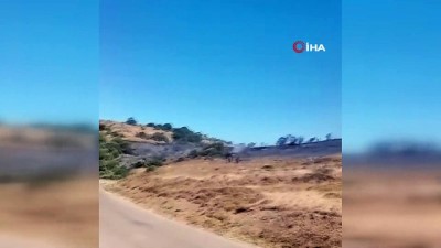 zeytinli -  Paşalimanı Adası'nda zeytinlik yangını Videosu