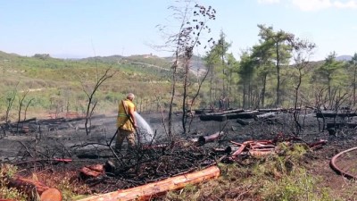 Suriye sınırında 2 ayrı bölgede orman yangını - HATAY